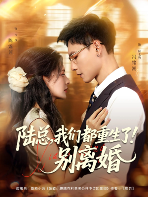 陆总我们都重生了别离婚（79集）短剧小说在线看