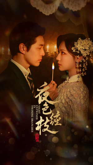 夜色缠枝（60集）在线看免费版