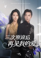 三次原谅后再见我的爱（80集）短剧热门合集