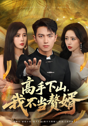 高手下山我不当赘婿（66集）热播短剧来袭