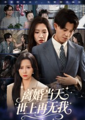 离婚当天世上再无我（60集）热门火爆短剧