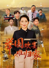 举国欢宴难归家（40集）夸克网盘在线看