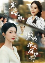 寒舍出凤凰妈妈换我保护你（75集）短剧介绍