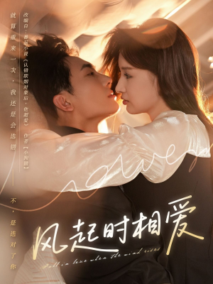 风起时相爱（80集）高清画质免费看