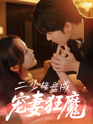 二少接盘成宠妻狂魔 (62集) 口碑之选免费看