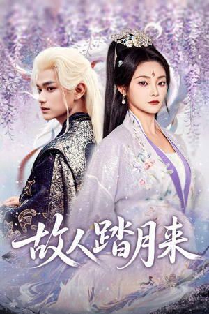 故人踏月来(60集) 故人踏月来(60集)快来看短剧