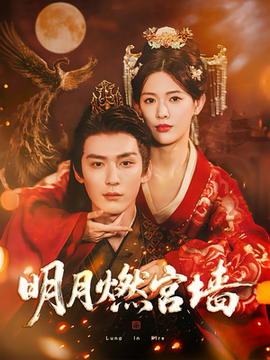 明月燃宫墙（60集）更新时间一览表