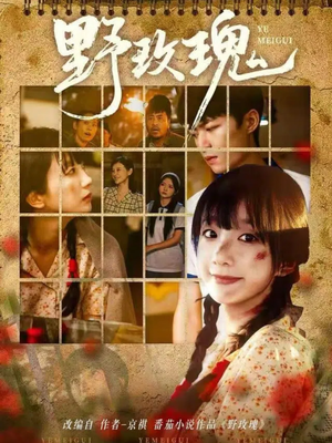 野玫瑰（82集）短剧追到爽