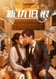 新仇旧恨（51集）精彩短剧天天看