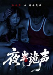 夜半诡声（28集）短剧精彩不断
