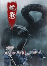 蛇影（25集）女主谁演的