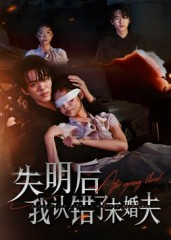 失明后我认错了未婚夫（34集）短剧热门分享