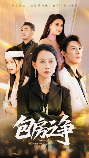 包房之争（50集）免费在线看全集