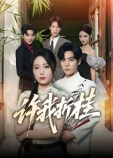 许我折桂（70集）在哪看是免费的