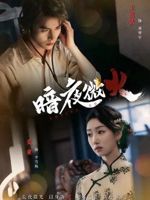 暗夜微火（80集女主角是谁