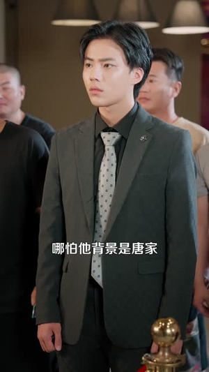 至尊神婿归来(104集) 至尊神婿归来(104集)免费看