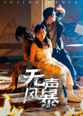 无声风暴(33集) 无声风暴(33集)短剧太好看
