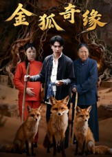 金狐奇缘(42集) 金狐奇缘(42集)热播短剧来袭