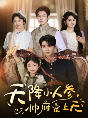 天降小人参,帅府宠上天(83集) 天降小人参,帅府宠上天(83集)最后一集