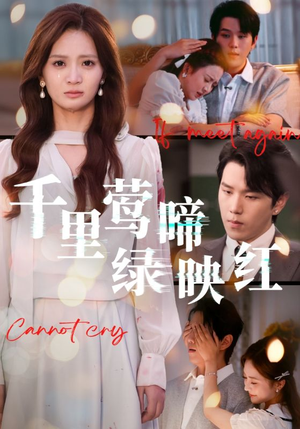 千里莺啼绿映红(63集) 千里莺啼绿映红(63集)百度在线观看