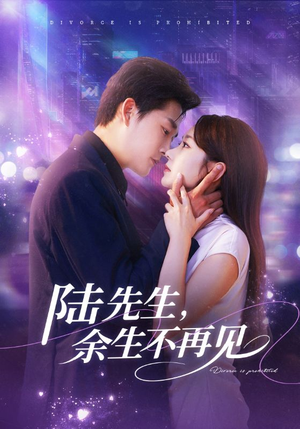 陆先生,余生不再见(88集) 陆先生,余生不再见(88集)男主角是谁