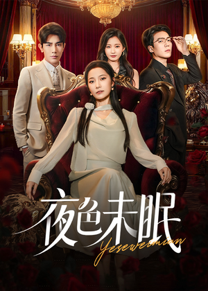 夜色未眠(60集) 夜色未眠(60集)全集完整版