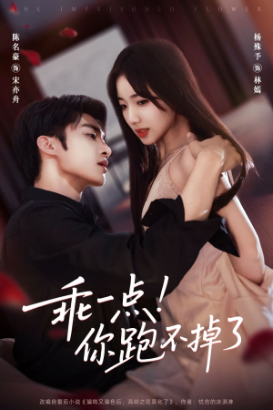 乖一点!你跑不掉了(80集) 乖一点!你跑不掉了(80集)精彩短剧下载