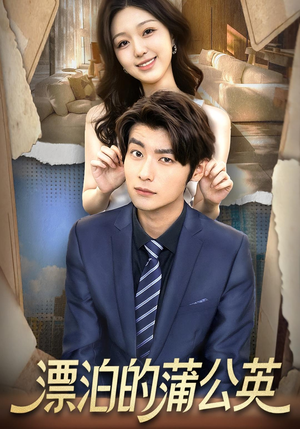 漂泊的蒲公英(60集) 漂泊的蒲公英(60集)恋爱短剧分享