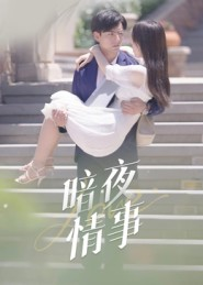 暗夜情事(100集) 暗夜情事(100集)免费观看