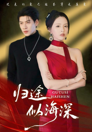 归途似海深(61集) 归途似海深(61集)免费观看全集