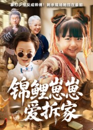 锦鲤崽崽爱拆家（80集）热门了短剧