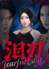 泪刃(40集) 泪刃(40集)全集我都看完了