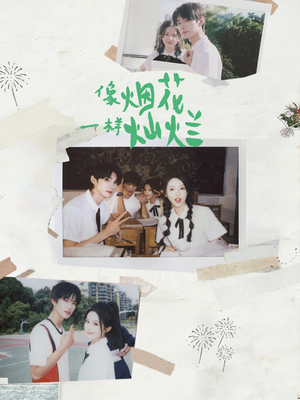 像烟花一样灿烂（60集）超好看短剧推荐