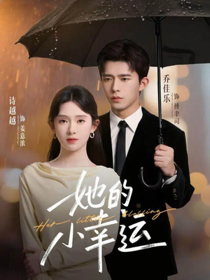 她的小幸运（65集）评价怎么样