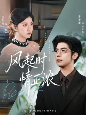 风起时情正浓(79集) 风起时情正浓(79集)全集下载