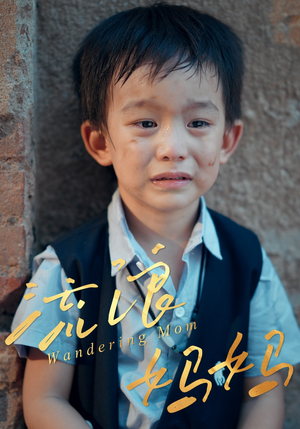 流浪妈妈（30集）不用花钱看全剧