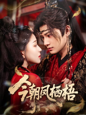 今朝凤栖梧（68集）好看的短剧