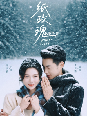 纸玫瑰第二部（80集）短剧分享片段