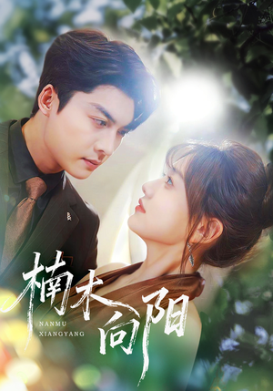 楠木向阳（70集）番茄免费短剧