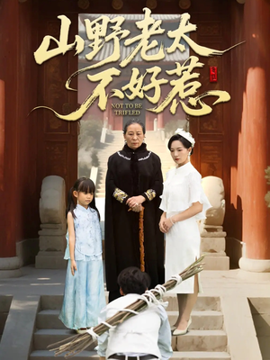 奶奶一脚震全城(64集) 奶奶一脚震全城(64集)真的太好看了