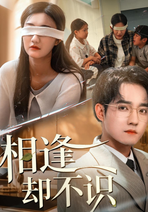 相逢却不识(77集) 相逢却不识(77集)在线观看完整版