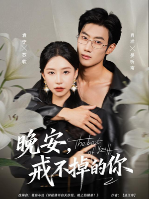 晚安,戒不掉的你(68集) 晚安,戒不掉的你(68集)口碑之选免费看