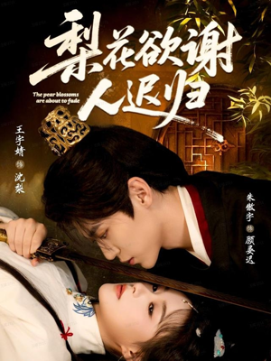 梨花欲谢人迟归（60集）好看上头短剧