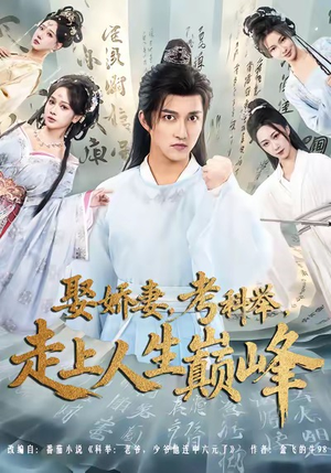 娶娇妻,考科举,走上人生巅峰(80集) 娶娇妻,考科举,走上人生巅峰(80集)精彩好看的短剧