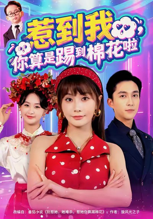 惹到我,你算是踢到棉花啦(67集) 惹到我,你算是踢到棉花啦(67集)大结局
