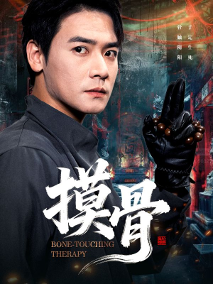 摸骨(74集) 摸骨(74集)口碑之选免费看