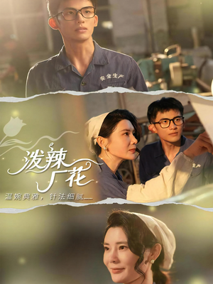 泼辣厂花(68集) 泼辣厂花(68集)全集