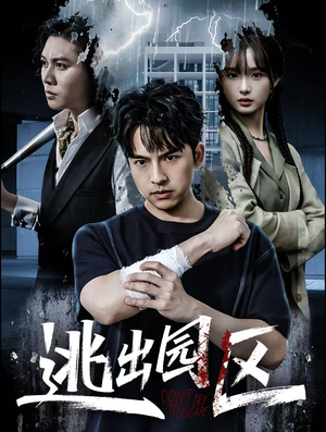 逃出园区(28集) 逃出园区(28集)经典老剧免费看