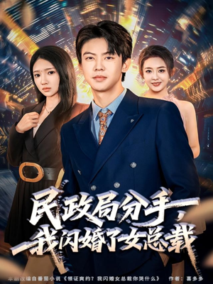民政局分手，我闪婚了女总裁（72集）怎么看全集