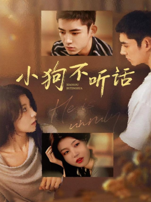 小狗不听话(70集) 小狗不听话(70集)大结局